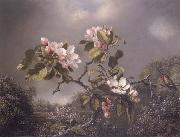 Martin Johnson Heade Apple Blosoms and Hummingbird France oil painting reproduction